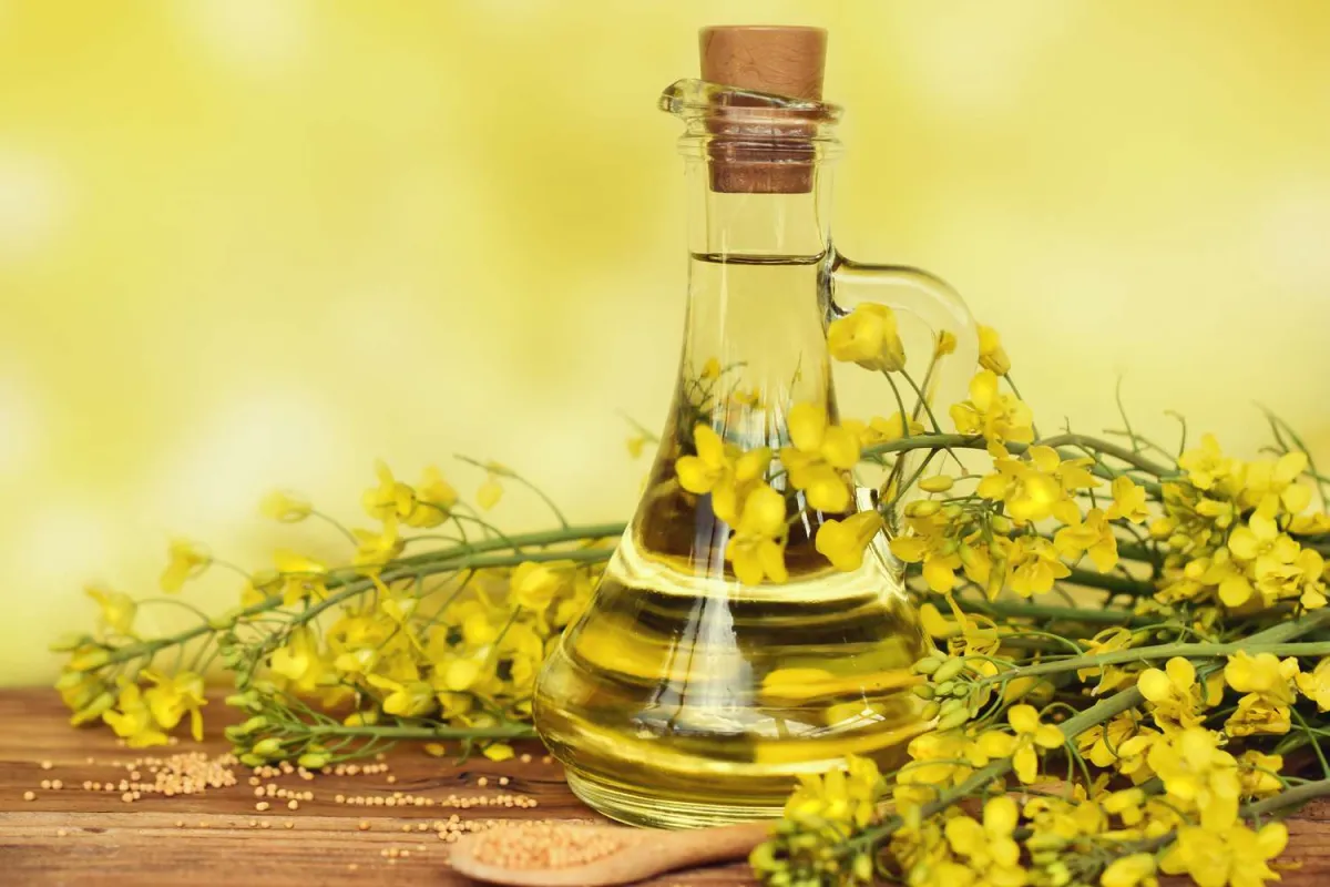 Canola Oil